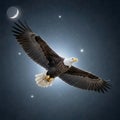 Bald eagle flying under a crescent moon and starry night sky Royalty Free Stock Photo