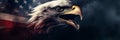 Patriotic banner with bald eagle in front of the American flag Royalty Free Stock Photo