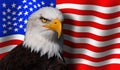 Bald eagle fronts the flag of USA