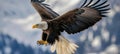 A bald eagle glides effortlessly in mid-flight, showing off its impressive wingspan and sharp talons, set against a breathtaking Royalty Free Stock Photo