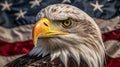 Bald Eagle (Haliaeetus leucocephalus) on the American flag background Royalty Free Stock Photo