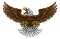 Bald Eagle Hawk Flying Wings Spread Mascot