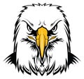Bald Eagle Head Royalty Free Stock Photo