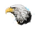 Bald eagle head portrait from a splash of watercolor, colored drawing, realistic Royalty Free Stock Photo