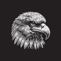 Bald Eagle Head Vector Illustration Ã¢â¬\' Vintage Retro Logo Design on Black Background, Royalty Free Stock Photo
