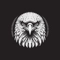 Bald Eagle Head Vector Illustration Ã¢â¬\' Vintage Retro Logo Design on Black Background Royalty Free Stock Photo