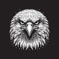 Bald Eagle Head Vector Illustration Ã¢â¬\' Vintage Retro Logo Design on Black Background Royalty Free Stock Photo