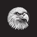 Bald Eagle Head Vector Illustration Ã¢â¬\' Vintage Retro Logo Design on Black Background Royalty Free Stock Photo