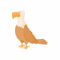 Bald eagle icon in cartoon style Royalty Free Stock Photo