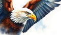A bald eagle with its wings spread out Royalty Free Stock Photo