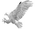 Bald eagle landing attack hand draw sketch black line on white background Royalty Free Stock Photo