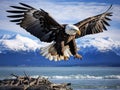 Ai Generated illustration Wildlife Concept of Bald Eagle landing Homer Alaska