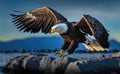 A bald eagle landing on the rock, side view, blurred blue sky, water and mountain background, generative AI Royalty Free Stock Photo