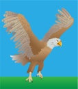 Eagle 2. Landing. Royalty Free Stock Photo