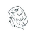 Bald eagle logo. Wild birds drawing.