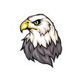 Bald eagle logo. Wild birds drawing. Head of an eagle.