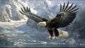 Bald Eagle Majestic Wild Animal National USA Symbol