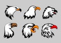 Bald eagle mascot heads vector illustration. American eagles head set for logo and labels Royalty Free Stock Photo