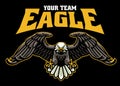 Bald Eagle Mascot Logo Design Royalty Free Stock Photo