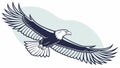 A Bald Eagle in Mid-Flight with a Blue Sky Background, vector design Generative AI Royalty Free Stock Photo