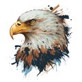 Bald eagle with paint splatters vector illustration on white background
