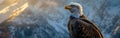 Bald Eagle Perched on Mountain