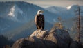 Bald eagle perching on mountain peak majestically generated by AI Royalty Free Stock Photo