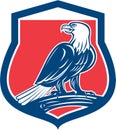 Bald Eagle Perching Shield Retro Royalty Free Stock Photo