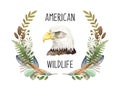 Bald eagle portrait in wreath. Watercolor illustration. American wildlife symbol bird portrait. Native North America Royalty Free Stock Photo