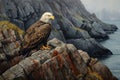 bald eagle resting on a rugged cliffside