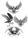 Bald Eagle Set Black and White Illustration Royalty Free Stock Photo