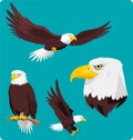 Bald Eagle set