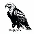 Dark White And Black Eagle Illustration On White Background Royalty Free Stock Photo