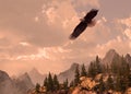 Bald Eagle Soaring in the High Country Royalty Free Stock Photo