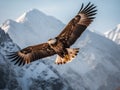 A bald eagle soaring over a snowy mountain range. Generative AI image.