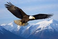 a bald eagle soaring over a wild, open landscape