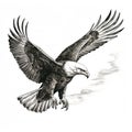 Detailed Black And White Eagle Illustration In Editorial Style Royalty Free Stock Photo