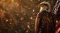 Bald eagle is standing on an american flag, with fireworks, bokeh in the background Royalty Free Stock Photo