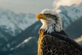 Bald Eagle Standing in Front of Mountain Range