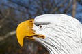 Bald Eagle Statue Royalty Free Stock Photo