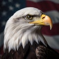 Bald eagle taking flight in front of an American flag Royalty Free Stock Photo