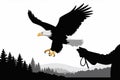 Bald Eagle Taking Flight from Handler in Forest Landscape, freedom symbol concept Royalty Free Stock Photo