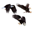 Great Eagle in polygon low poly Collection. Eagle American logo in Abstract. American National Bird Symbol. USA Bald Eagle Logo