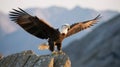 Bald Eagle Wings Landing on Rocky Cliff Royalty Free Stock Photo