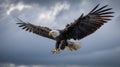 Bald Eagle Wings in Misty Morning Sky Royalty Free Stock Photo