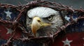 Bald eagle wrapped in USA flag and barbed wire symbolizing patriotism and struggle Royalty Free Stock Photo
