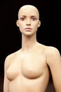 Bald girl mannequin Royalty Free Stock Photo