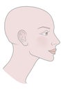 Bald Hairless Profile of a girl with a beautiful skull. Shaved skull. Vector image
