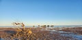 Bald Hill Beach South Australia