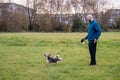 Bald man in blue jacket with his Yorkshire pet terrier in a park. Pet care and friendship concept Royalty Free Stock Photo